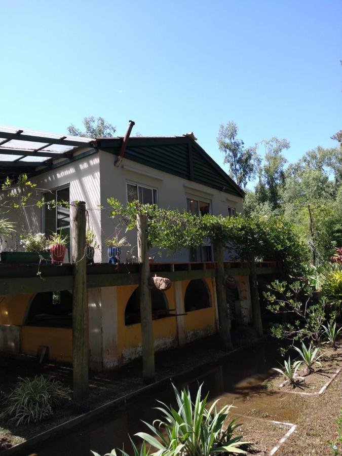 圣何塞岛卡瓦尼亚斯山林小屋 蒂格雷 客房 照片