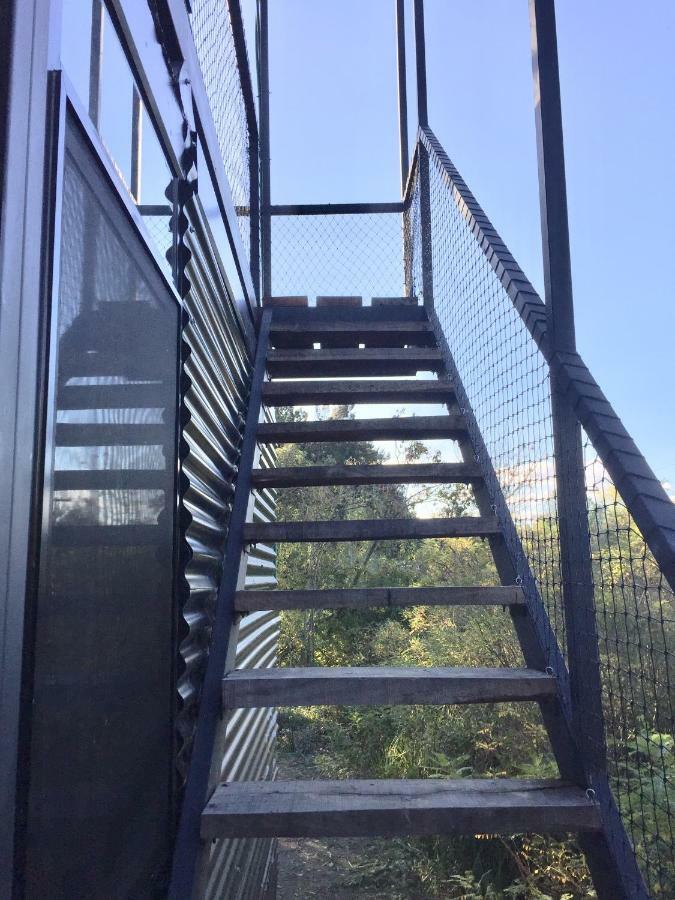 圣何塞岛卡瓦尼亚斯山林小屋 蒂格雷 外观 照片